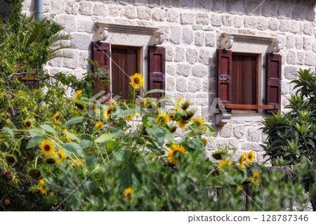 Stone house wall and yellow flowers Stone house wall and yellow flowers 128787346