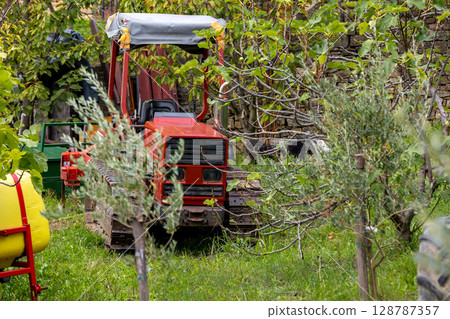 Old Vintage Red Farm Tractor in the garden 128787357