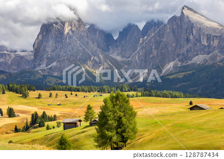 Dolomites Alpe di Siusi, Italy landscape, autumn 128787434