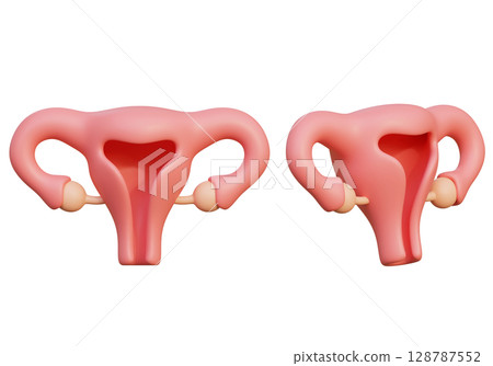 cartoon style uterus 3D graphic 128787552