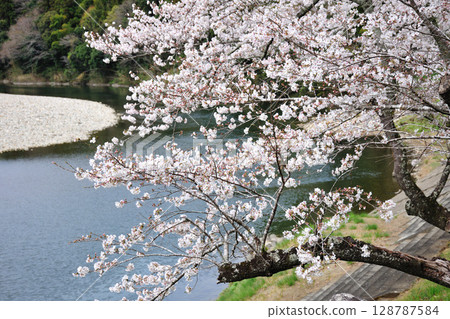 Sakurabuchi公園 Sakurabuchi公園 128787584