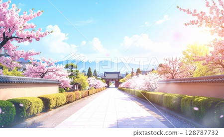 盛開的櫻花樹和通往日本花園的道路 | 壯觀的春日景色和傳統建築 128787732