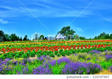 Scenery of Biei Town, Hokkaido Scenery of Biei Town, Hokkaido 128787907