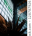 Neon reflected in glass 128787926