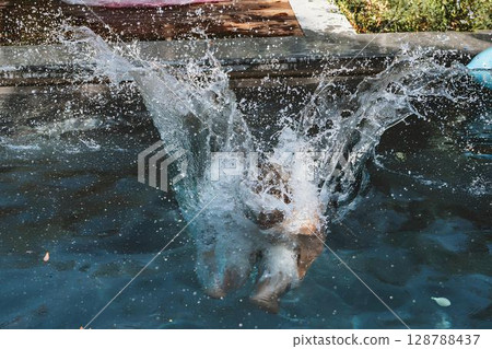 Energetic Splash from Pool Dive 128788437