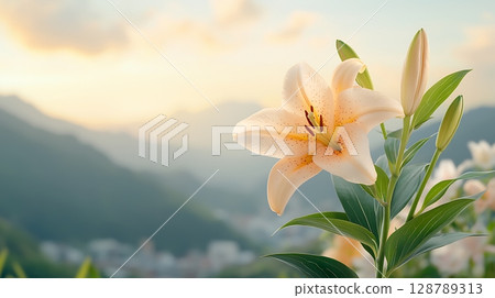 Elegant White Lily Blooms Against a Soft Sunset Background in a Serene Natural Landscape 128789313
