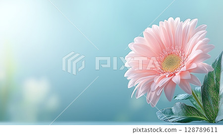 Soft Pink Flower Bloom with Green Leaves on a Gentle Blur Background for Nature Inspired Aesthetic 128789611