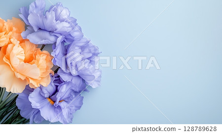 Soft Pastel Peony Flowers on Light Blue Background for Spring and Summer Decoration 128789628