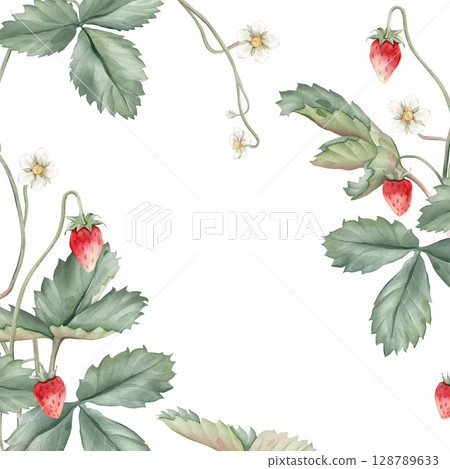 Wild strawberries square Frame. Hand drawn watercolor illustration of Border with woodland strawberries and white flowers on white isolated background. Drawing for food label or cards design. Wild strawberries square Frame. Hand drawn watercolor illustration of Border with woodland strawberries and white flowers on white isolated background. Drawing for food label or cards design. 128789633