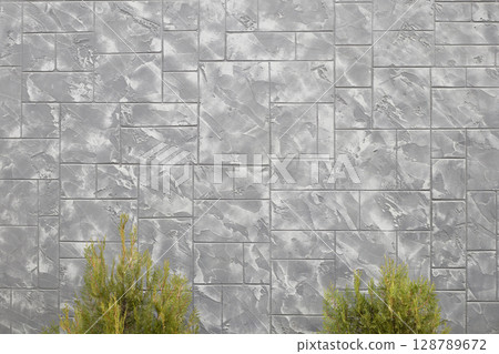 The tops of two thuja bushes. The tops of two thuja bushes. 128789672