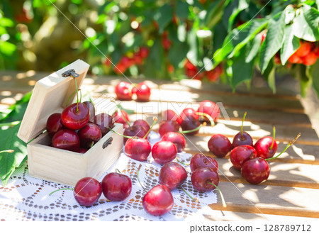 ripe juicy cherry berry in wooden box on lace napkin on table in cherry garden ripe juicy cherry berry in wooden box on lace napkin on table in cherry garden 128789712