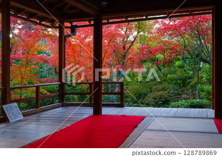 View of autumn leaves from a Japanese-style room at Daihoin Temple 128789869