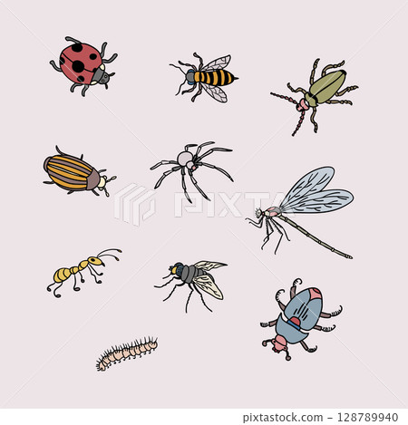 Colorful Hand-Drawn Insects Illustration Set with Ten Bugs Colorful Hand-Drawn Insects Illustration Set with Ten Bugs 128789940