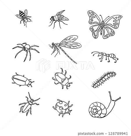 Detailed Insect Outline Illustrations for Creative Projects 128789941