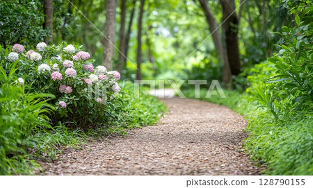 Serene Garden Pathway Surrounded by Lush Greenery and Blooming Hydrangeas in Summer 128790155