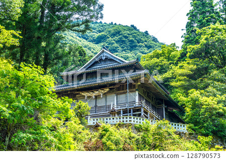 [World Heritage Iwami Ginzan Silver Mine Ruins and its Cultural Landscape] The main shrine of Sahibaiyama Shrine in early summer, Oda City, Shimane Prefecture 128790573