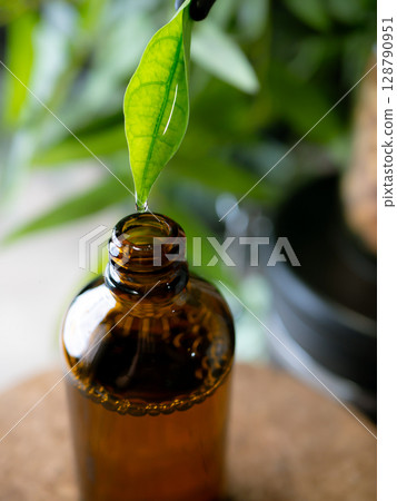 Herbal essence serum skin care dropping from fresh leaf to the bottle. Organic essential oil from leaf. 128790951