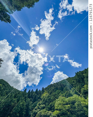 藍天和耀眼的夏日陽光被森林環繞 128791273