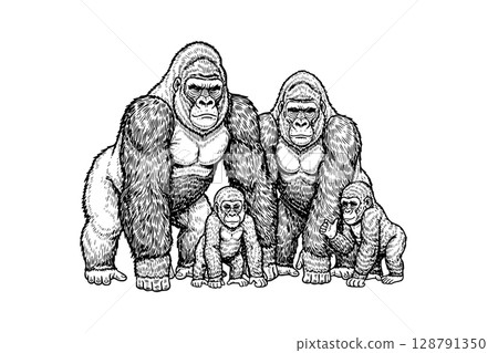 Powerful vector illustration of a gorilla family, perfect for themes of nature and strength. Wildlife Animals. 128791350