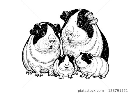 Cute vector illustration of a guinea pig family, perfect for pet and small animal themes. 128791351