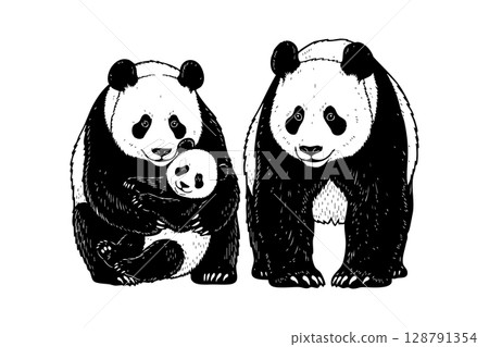 A charming vector illustration of a panda family, perfect for nature and animal themes. Wildlife Animals 128791354