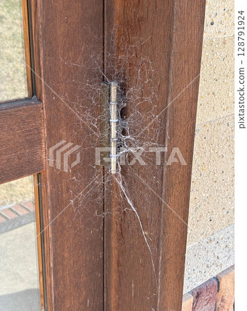 Closeup of the door hinge of an empty house covered with spider webs. 128791924
