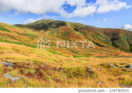 月山的紅葉－色彩斑斕的山面 128792024