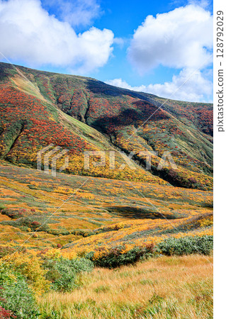 Autumn panorama painted by nature - the magnificent view of Mt. Gassan 128792029