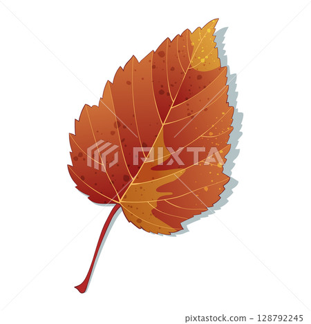 Hand-drawn autumn colored orange maple fall leaf isolated on white background. Flat style vector illustration. 128792245