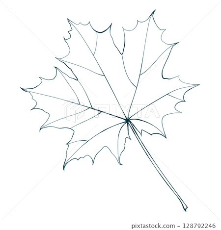 Hand-drawn linear maple leaf isolated on white background. Sketch line style vector illustration. Hand-drawn linear maple leaf isolated on white background. Sketch line style vector illustration. 128792246