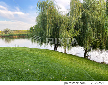 Beautiful view of the lake with willows, summer day Beautiful view of the lake with willows, summer day 128792596