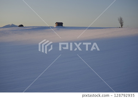 A hut and tree on a hill at winter twilight 128792935