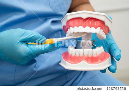 Doctor clean teeth denture with toothbrush for teach patient and dentist studying about dentistry. 128793756