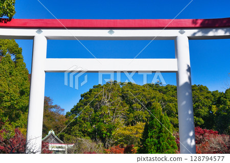鎌倉神社美麗的鳥居和秋葉在藍天的映襯下(神奈川縣鎌倉市) 鎌倉神社美麗的鳥居和秋葉在藍天的映襯下(神奈川縣鎌倉市) 128794577