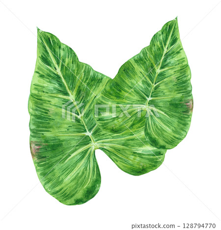 Tropical leaves composition, hand drawn watercolor illustration isolated on white background. Can be used for card, scrapbook and other printed products. 128794770