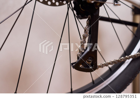 Close Up of a Bicycle Gear and Chain Highlighting Their Design and Functionality 128795351