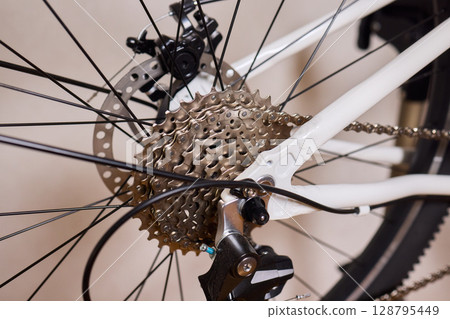 Close Up of a Bicycle Gear and Chain Highlighting Their Design and Functionality 128795449