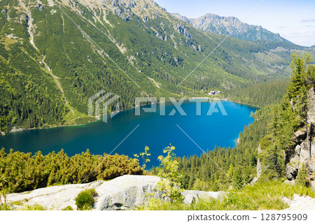 Scenic Mountain Lake View in Summer 128795909