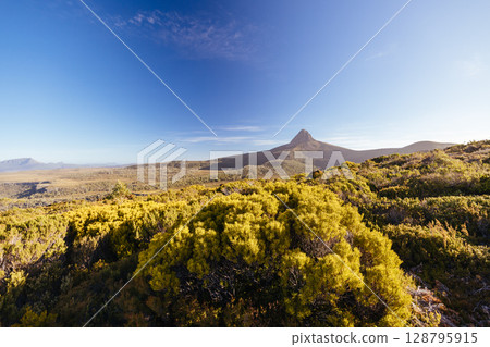 Barn Bluff Sunset View in Tasmania Australia Barn Bluff Sunset View in Tasmania Australia 128795915
