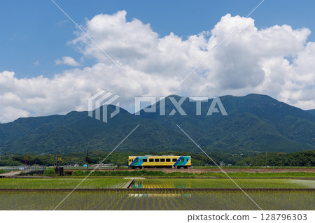 Heisei Chikuho Railway 400 series "Nanohana" train running through the countryside with Mount Fukuchi in the background 128796303