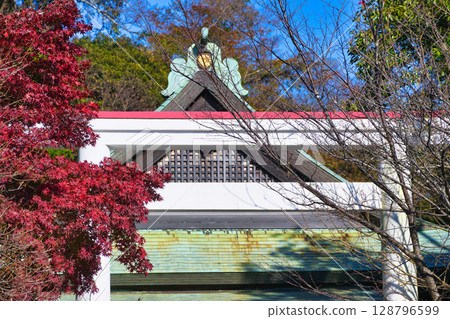 鎌倉神社美麗的鳥居和秋葉在藍天的映襯下(神奈川縣鎌倉市) 鎌倉神社美麗的鳥居和秋葉在藍天的映襯下(神奈川縣鎌倉市) 128796599