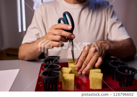 Hands Skillfully Managing Hydroponic Growing Medium with Exact Precise Careful Techniques 128796602