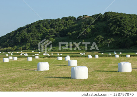 Hokkaido specialty hay roll, hay roll, roll bale wrap silo Hokkaido specialty hay roll, hay roll, roll bale wrap silo 128797070