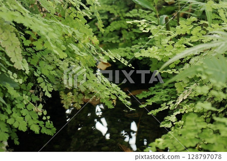 Landscape with water flow 128797078