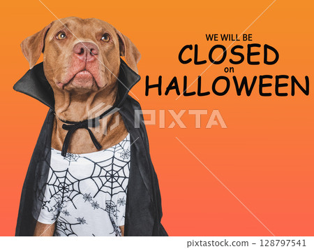 Signboard with the inscription We will be closed on Halloween 128797541
