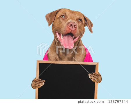 Charming dog and board for congratulatory inscription 128797544