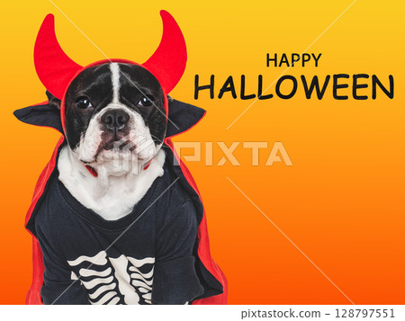 Happy Halloween. Charming puppy and Halloween costume Happy Halloween. Charming puppy and Halloween costume 128797551
