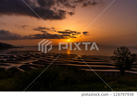 <Kumamoto Prefecture> Okoshiki Beach, dusk at low tide 128797936