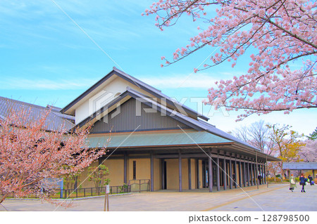 愛知縣名古屋市、名古屋能樂堂和盛開的櫻花 128798500