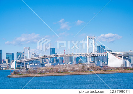 cityscape of Tokyo skyline with Tokyo tower and rainbow bridge at daytime in Japan cityscape of Tokyo skyline with Tokyo tower and rainbow bridge at daytime in Japan 128799074